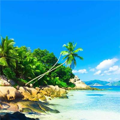 雷火亚洲电竞平台官网